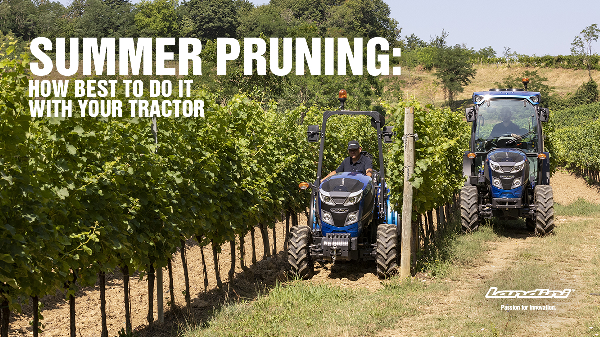 Summer Pruning: how best to do it with your Tractor