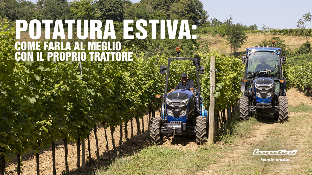 Potatura Estiva: come farla al meglio con il proprio trattore