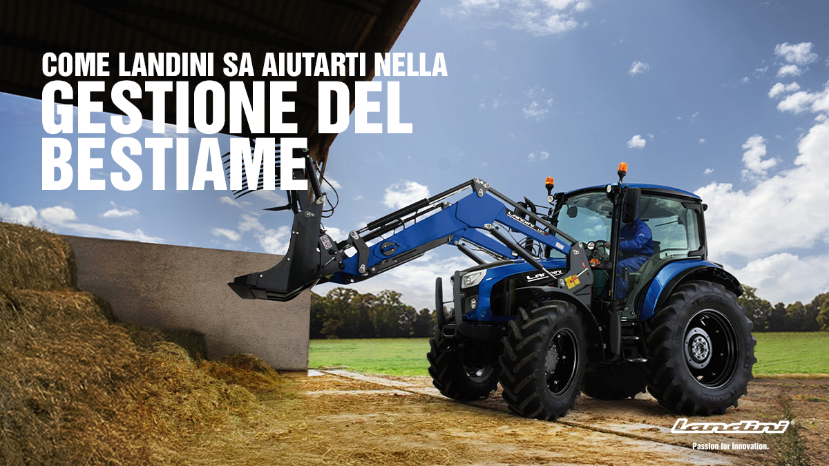 Come Landini sa aiutarti nella gestione del bestiame